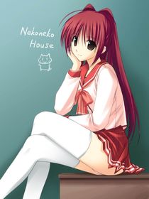 newbrazz